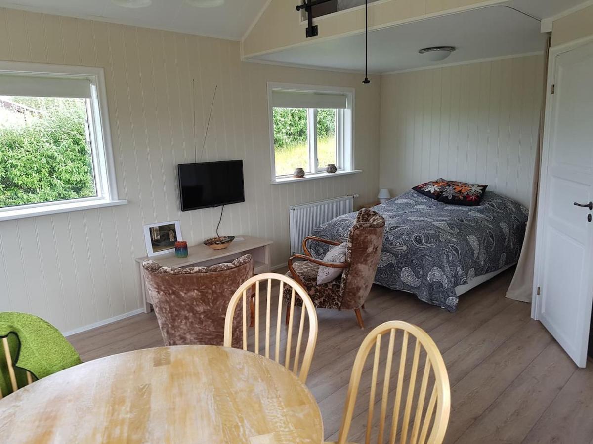 فيلا آكيورِيْريفي Einarsstathir - Cozy Cabin With Excellent View المظهر الخارجي الصورة